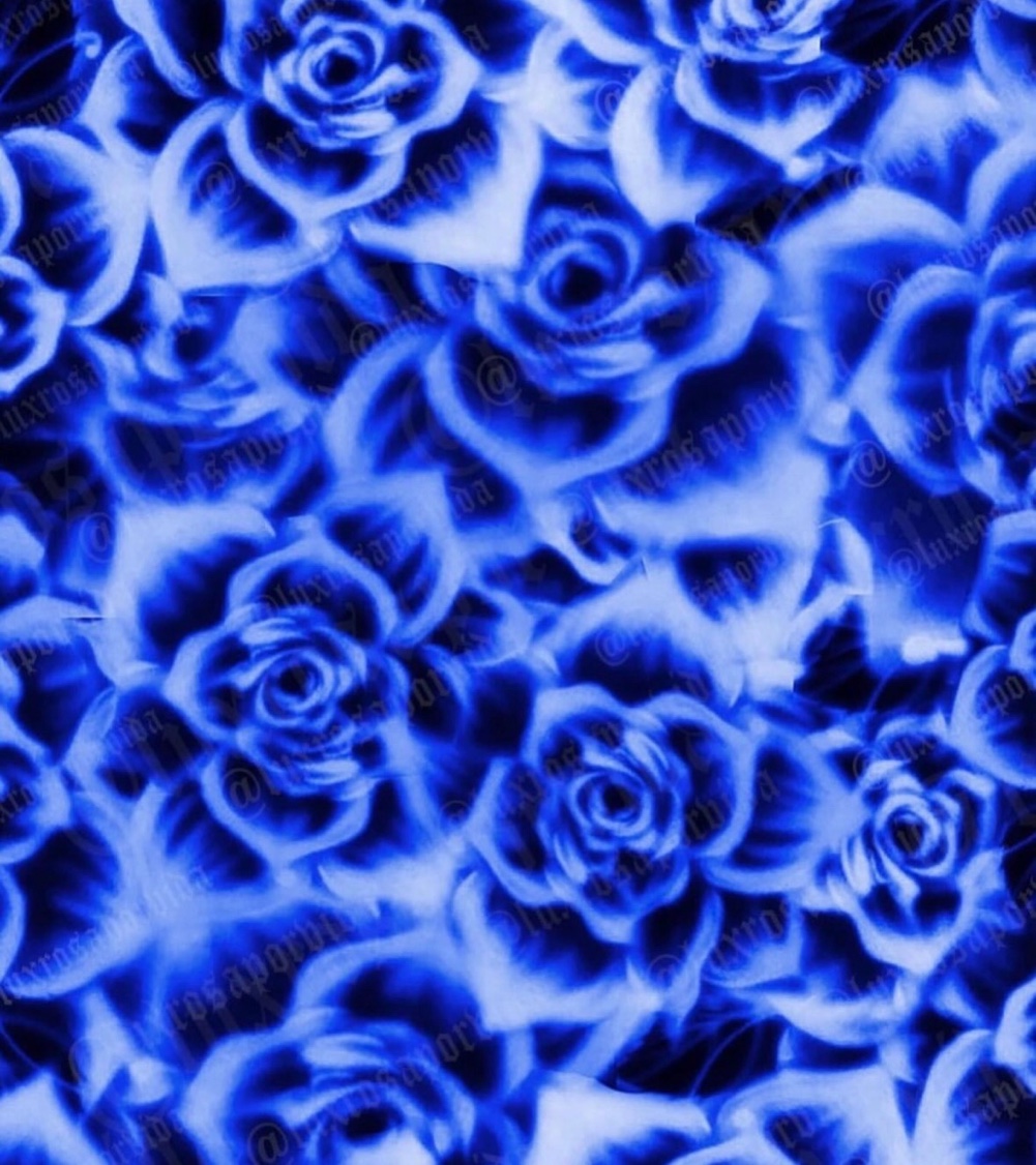 Blue Roses backdrop